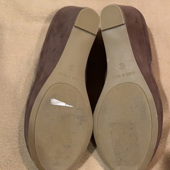 American Ragcie - Picture 3 of 3